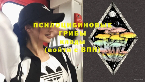 каннабис Алзамай