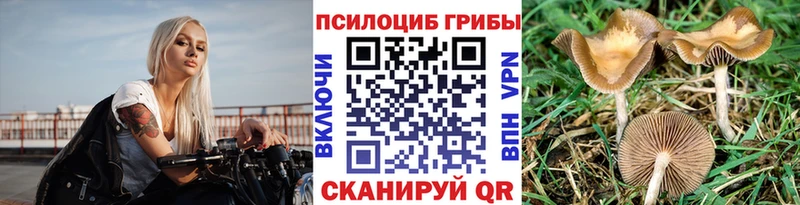 закладка  Брянск  Псилоцибиновые грибы MAGIC MUSHROOMS 