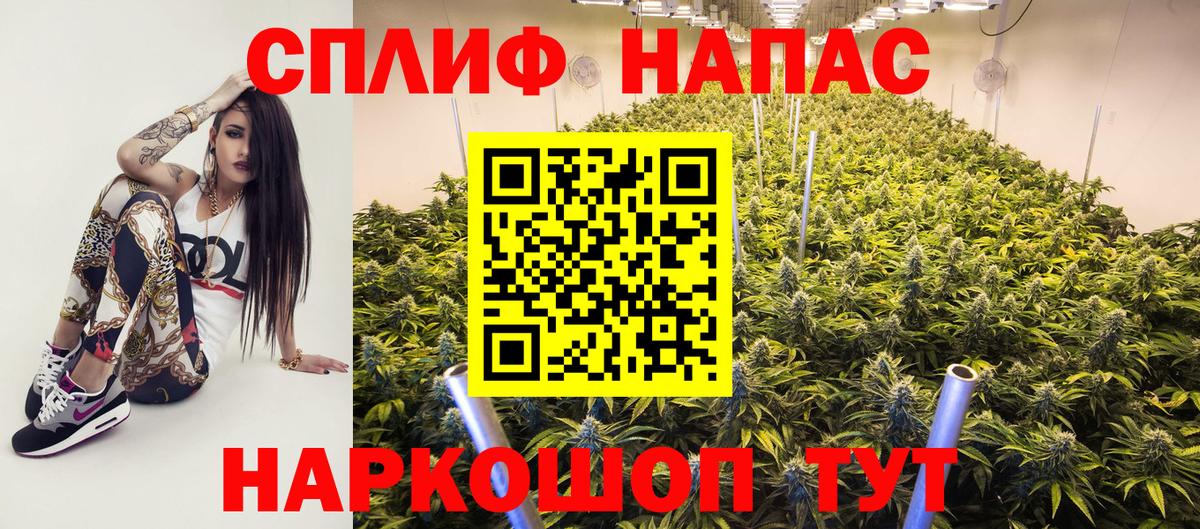 Каннабис Amnesia  Каннабис OG Kush  Брянск  Канабис OG Kush  Вход с VPN 